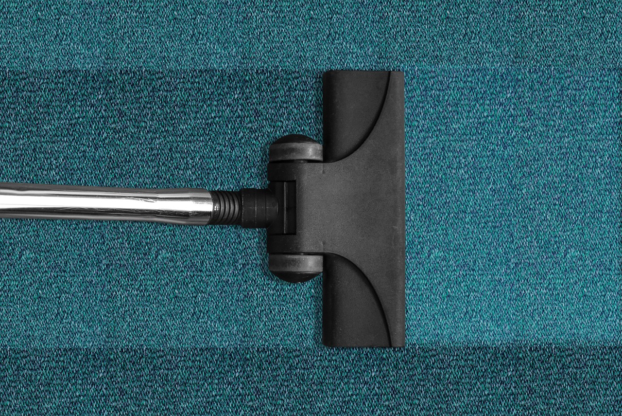 comment nettoyer un tapis à poil